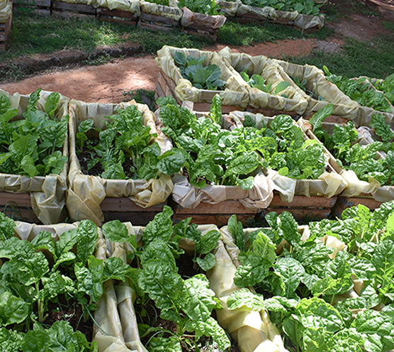 Safaricom Women In Tech